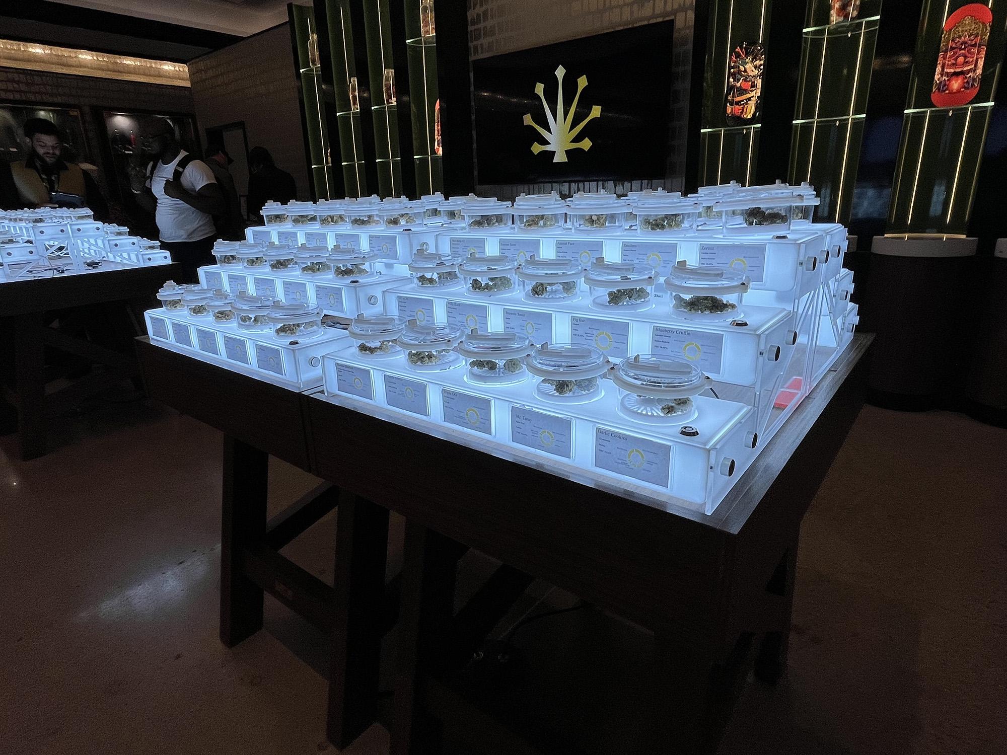 Top Cannabis Products to Try from Jersey Shore Dispensaries